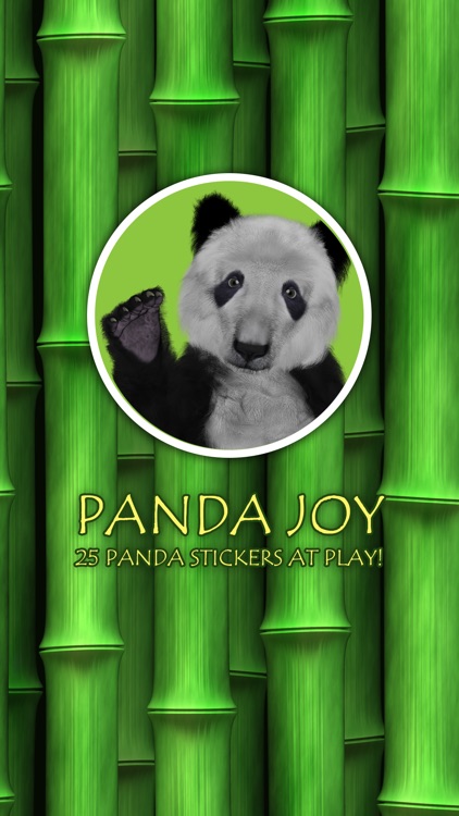 Panda Joy