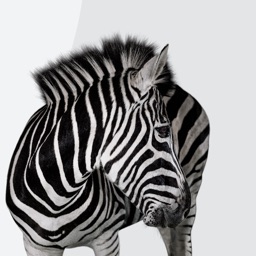 Investec Business Banking