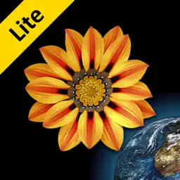 Web Images Lite app icon