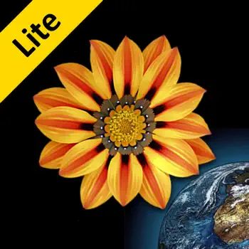 Web Images Lite Customer Service