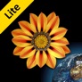 Web Images Lite app icon