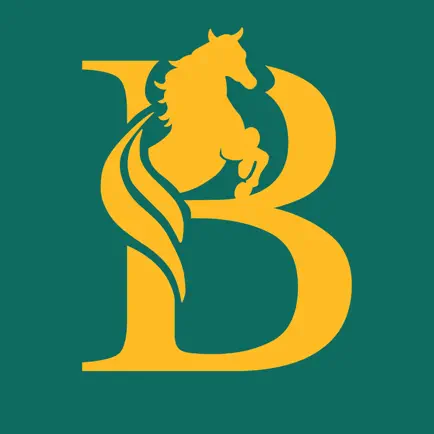 Bábolna Jumping Cheats