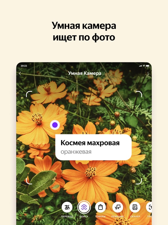 Screenshot #6 pour Яндекс — с Алисой
