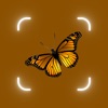 Bug Identifier, Insect Id - iPhoneアプリ