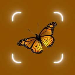 Ícone do app Butterfly Identifier