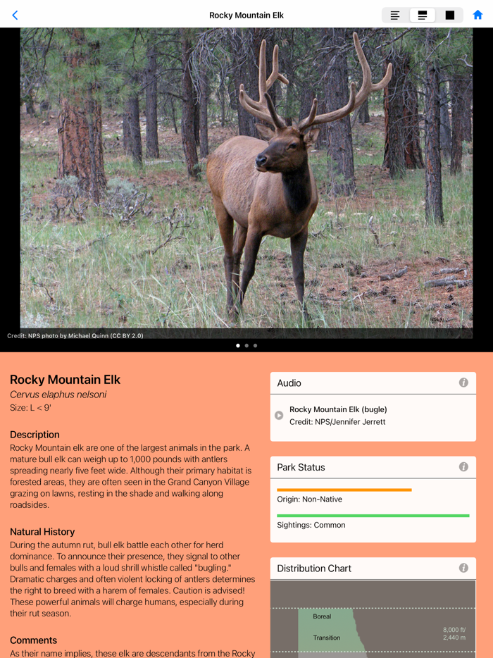 Grand Canyon NP Field Guide