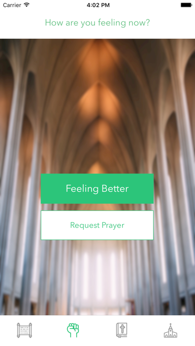Christian Living Accountability Partner iPhone screenshot