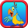 Bird Cartoon Coloring Book Painting Pages for Kids