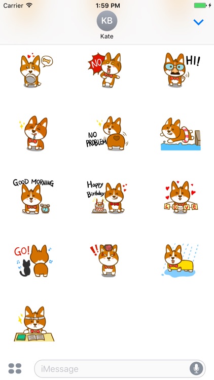 Little Corgi Animated Sticker screenshot-3
