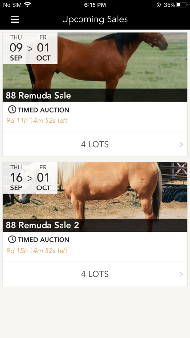 88 Remuda Sale Screenshot