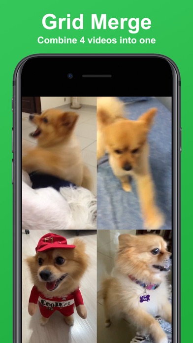 Video Merger: Join videos Screenshot 2 - AppWisp.com Video Merger: Join videos Screenshot 2 - AppWisp.com