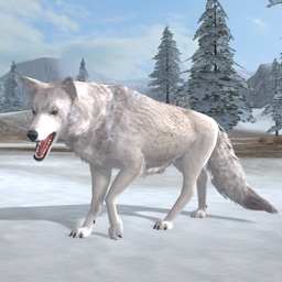 Arctic Wolf