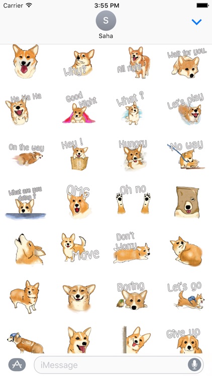 Corgi Dog Stickers for iMessage