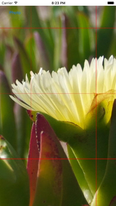 Screenshot #2 pour GridOnPhoto