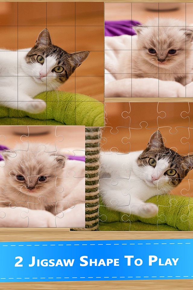 Cute Kitten Cat Jigsaw Puzzle screenshot 3