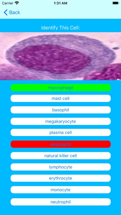 Immune Cells Tutor