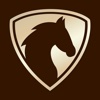 Reining-MyScores