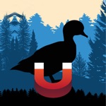 Download Wood Duck Magnet - Duck Calls app