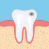 Dental Anatomy Quizzes icon