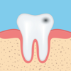 Dental Anatomy Quizzes - Coskun CAKIR