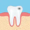 Dental Anatomy Quizzes App Positive Reviews