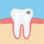 Download Dental Anatomy Quizzes app