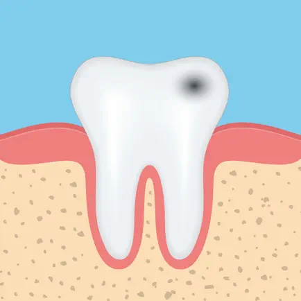 Dental Anatomy Quizzes Cheats