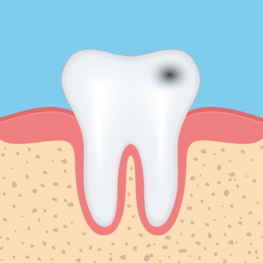 icon of Dental Anatomy Quizzes