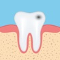 Dental Anatomy Quizzes app download