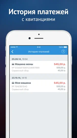 Скриншот Штрафы ГИБДД официальные: проверка и оплата онлайн на iPhone 5