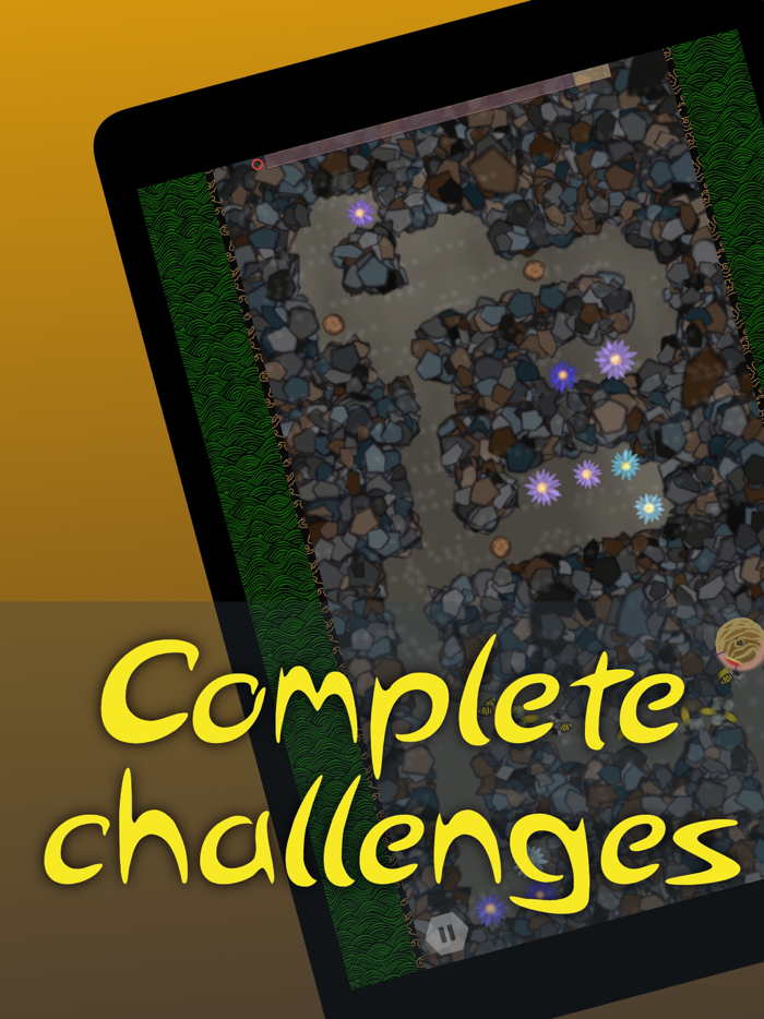 Buzzed - Bee Adventures