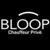 BLOOP DRIVER