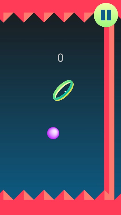 Through the Ring screenshot-3