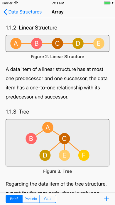 Data Structure Display Screenshot