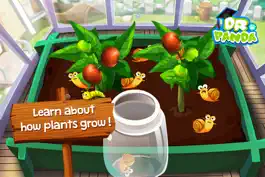Game screenshot Dr. Panda Veggie Garden hack