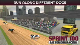 Game screenshot Sprint 100 Meter Dog Racing : Race Dogs On Tracks hack