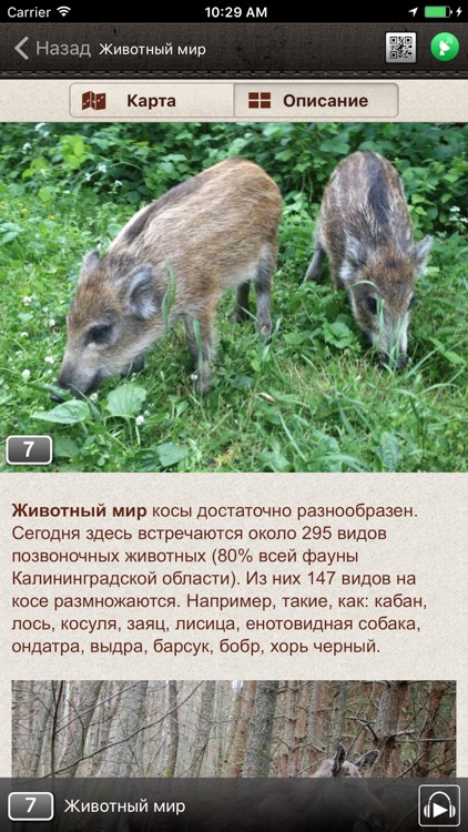 Куршская коса screenshot-4