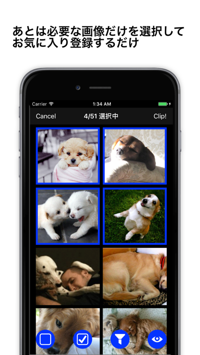 Scrapbook - Webページの画像にいつでもアクセスできるアプリ iPhone screenshot