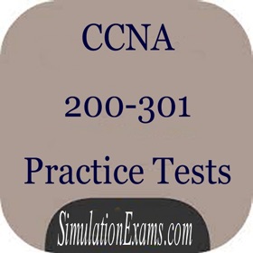 屏幕截图 (10) CCNA 200-301 Exam Simulator