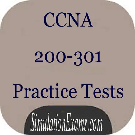 CCNA 200-301 Exam Simulator Читы