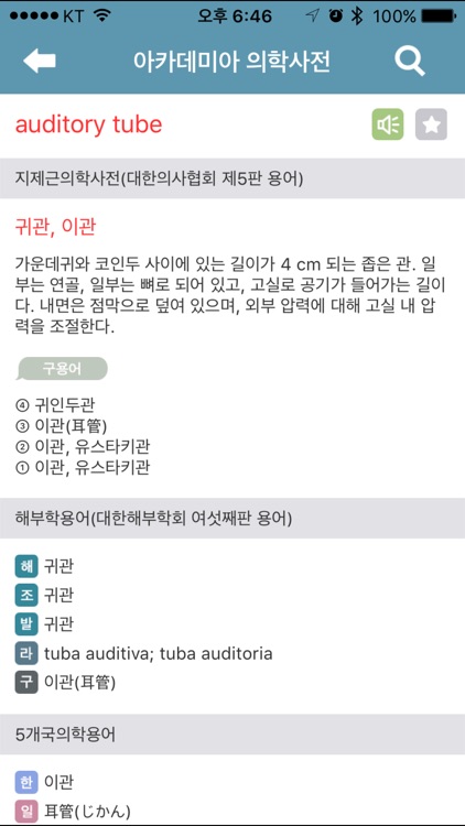 아카데미아 의학사전