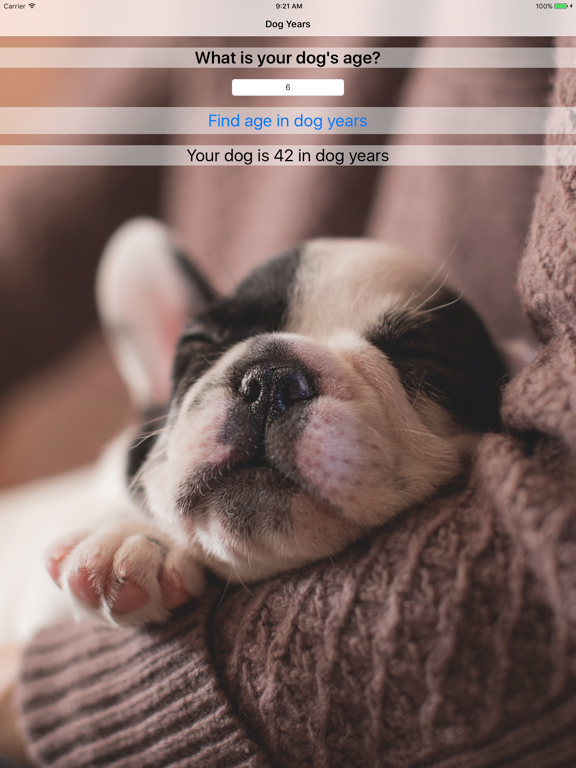 Dog Years - Fun And Simple Converter For Dog Years iPad screenshot 4 - Entertainment app