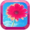 Beauty Games Jigsaw Puzzles Page Flower Version