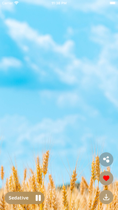 4K Wallpaper & Relax Music Screenshot