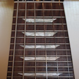 Electric Guitar Fretboard Lite