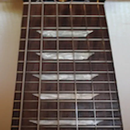 Electric Guitar Fretboard Lite Cheats