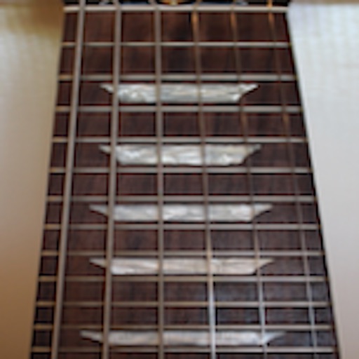 Electric Guitar Fretboard Lite Icon