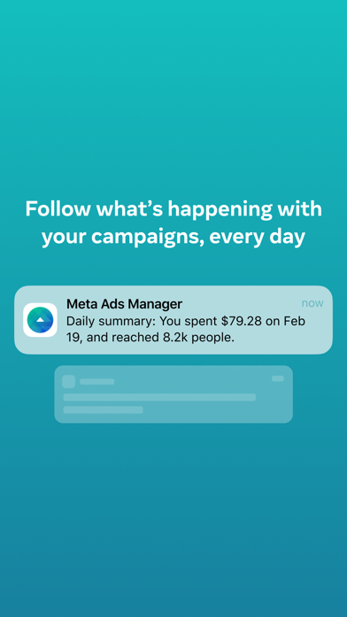 Meta Ads Manager Screenshot
