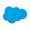 Icon Salesforce