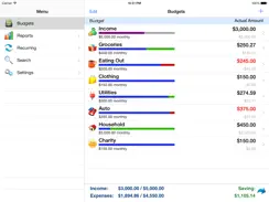 Ace Budget 3 Lite iPad image 1